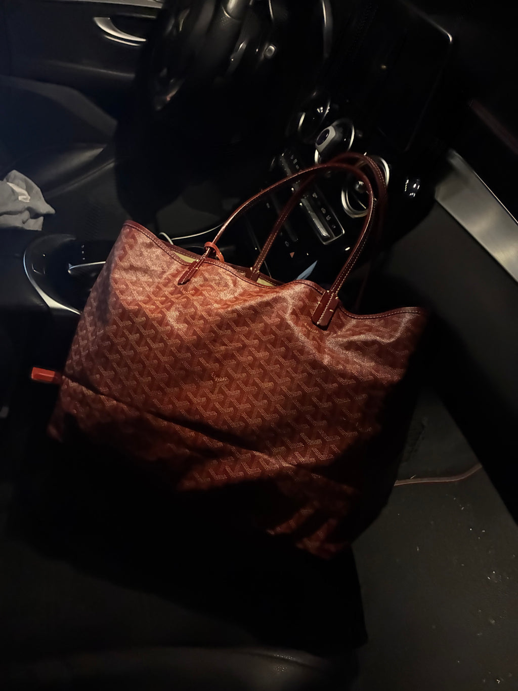 Red Goyard St. Louis Bag (GM)